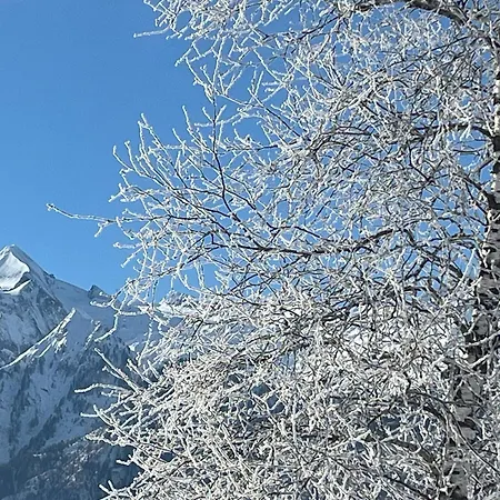 Nr 23 Haus Voglreiter Διαμέρισμα