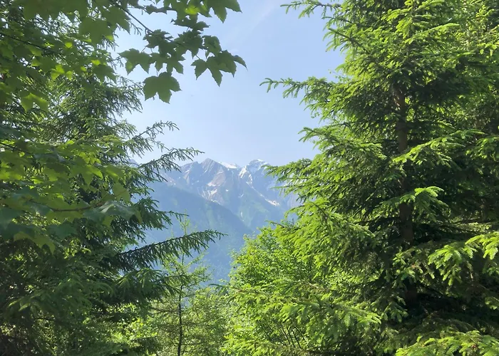 Appartement Nr 23 Haus Voglreiter *