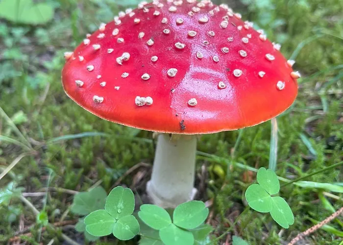 Apartmán Nr 23 Haus Voglreiter Kaprun