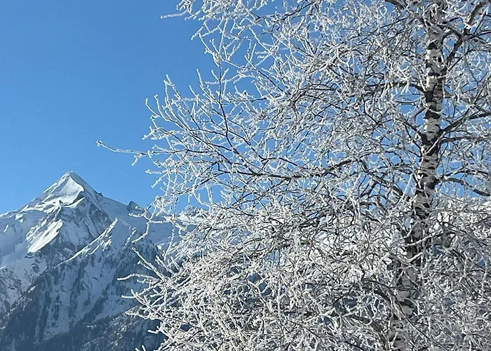 Nr 23 Haus Voglreiter Apartmán